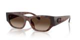 Dark Tortoise / Brown Gradient Polarized (512087)
