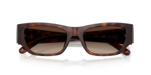 Dark Tortoise / Brown Gradient Polarized (512087)
