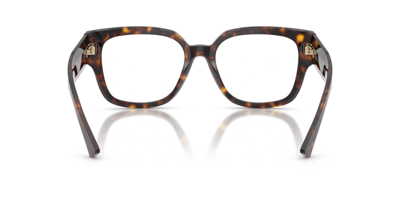 Jimmy Choo JC3042B in Havana / Demo Lens (5002) - Alternate View