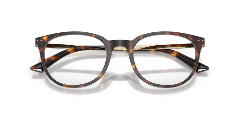Jimmy Choo JC3055D in Havana - Alternate View