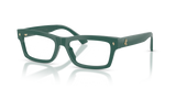 Dark Green / Demo Lens (5101)
