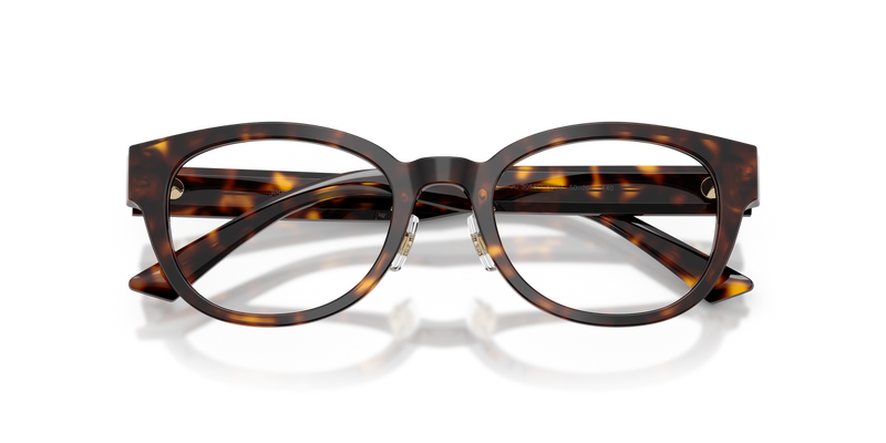 Jimmy Choo JC3058D in Havana - Alternate View