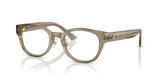 Transparent Brown / Demo Lens (5051)