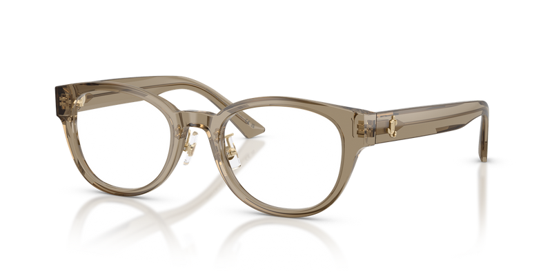 Jimmy Choo JC3058D in Transparent Brown - Alternate View
