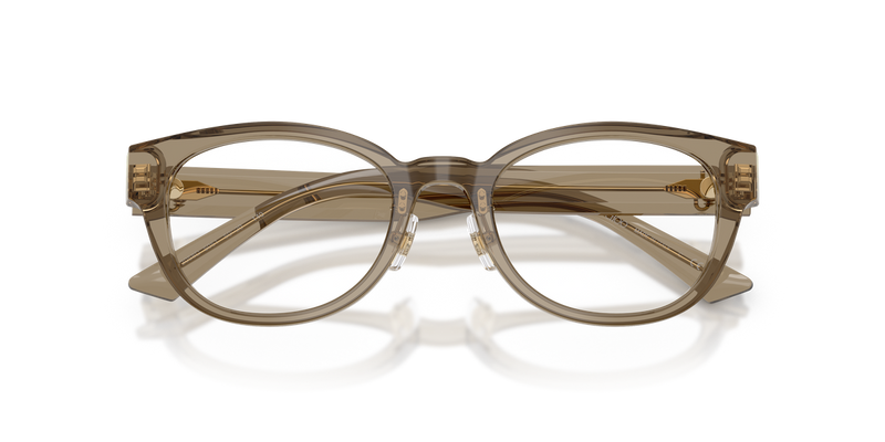 Jimmy Choo JC3058D in Transparent Brown - Alternate View