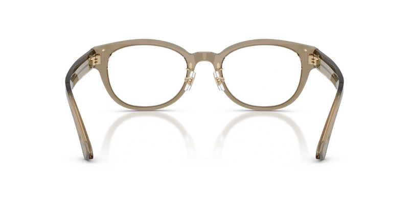 Jimmy Choo JC3058D in Transparent Brown - Alternate View