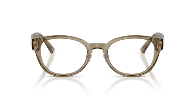 Jimmy Choo JC3058D in Transparent Brown - Alternate View