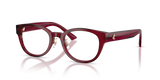 Transparent Red / Demo Lens (5062)
