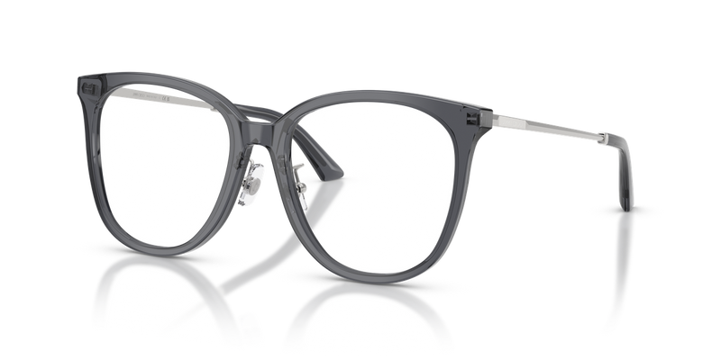 Jimmy Choo JC3060F in Transparent Grey - Alternate View