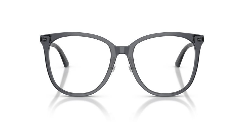Jimmy Choo JC3060F in Transparent Grey - Alternate View