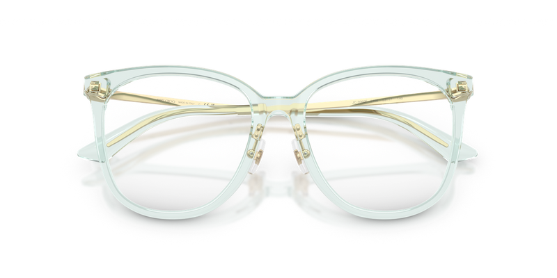 Jimmy Choo JC3060F in Transparent Green - Alternate View