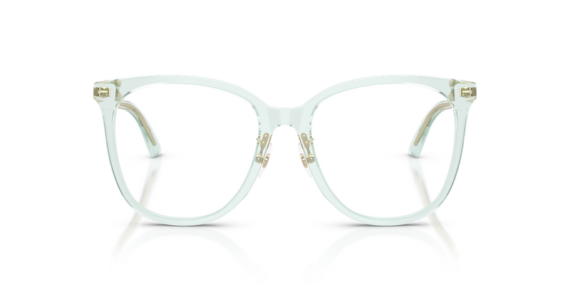 Jimmy Choo JC3060F in Transparent Green - Alternate View