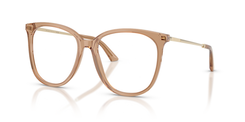 Jimmy Choo JC3060