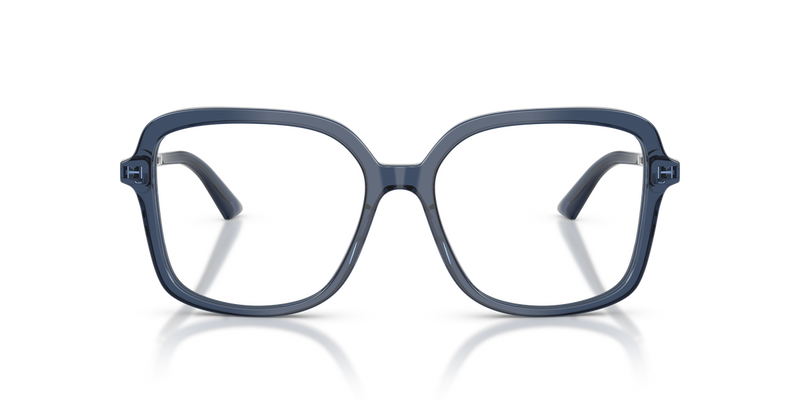 Jimmy Choo JC3061U in Transparent Navy - Alternate View