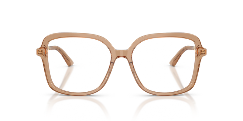 Jimmy Choo JC3061U in Transparent Tan - Alternate View