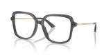 Transparent Grey / Demo Lens (5106)