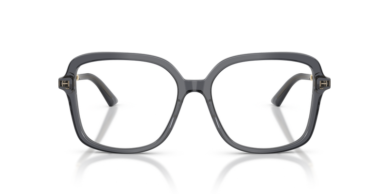 Jimmy Choo JC3061U in Transparent Grey - Alternate View