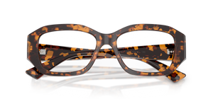 Brown Tortoise / Demo Lens (5121)