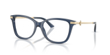 Transparent Navy / Demo Lens (5035)