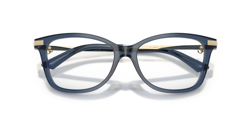 Jimmy Choo JC3068BF in Transparent Navy - Alternate View