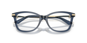 Transparent Navy / Demo Lens (5035)