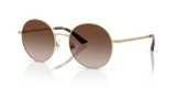 Pale Gold / Brown Gradient (300613)
