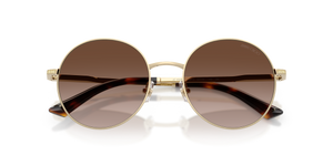 Pale Gold / Brown Gradient (300613)