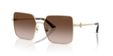 Pale Gold / Brown Gradient (300613)