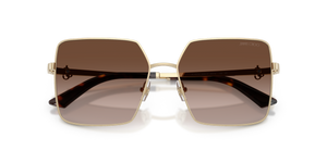 Pale Gold / Brown Gradient (300613)