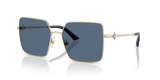 Pale Gold / Dark Blue (300680)