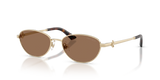 Pale Gold / Dark Brown (300673)