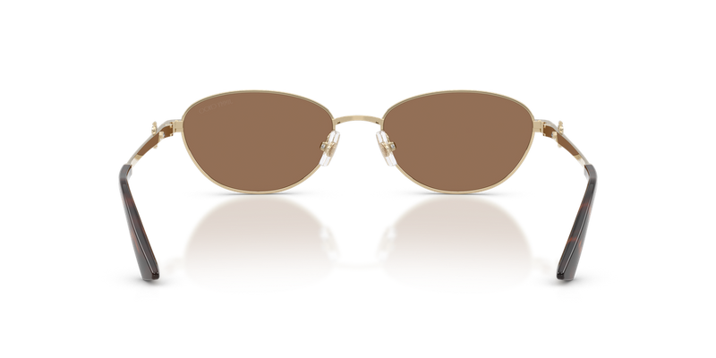 Jimmy Choo JC4032BD in Pale Gold - Temple Detail