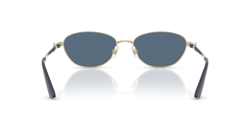 Jimmy Choo JC4032BD in Pale Gold - Alternate View