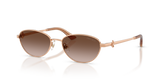 Rose Gold / Brown Gradient (300813)