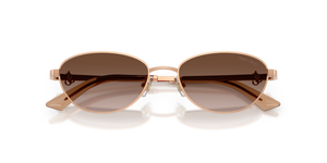 Rose Gold / Brown Gradient (300813)