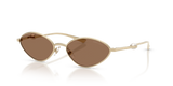Pale Gold / Dark Brown (300673)