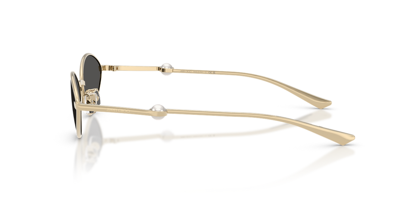Jimmy Choo JC4033H in Pale Gold - Alternate View