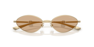 Pale Gold / Brown (301773)
