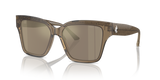 Transparent Brown Glitter / Light Brown Mirror Gold (50405A)