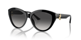 Black / Gradient Grey (50008G)