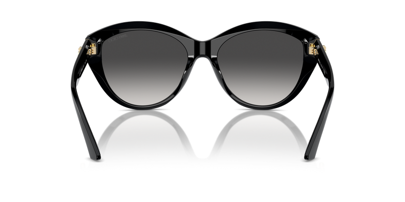 Jimmy Choo JC5007 in Black - Alternate View