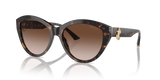 Havana / Gradient Brown (500213)