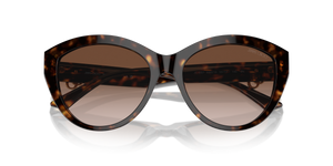 Havana / Gradient Brown (500213)