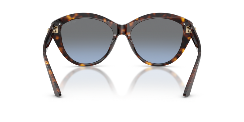 Jimmy Choo JC5007 in Havana - Alternate View