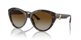 Havana / Polarized Gradient Brown (5002T5)