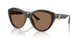 Dark Havana Glitter / Dark Brown (512573)