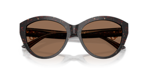 Dark Havana Glitter / Dark Brown (512573)