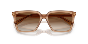 Transparent Tan / Brown Gradient (507613)
