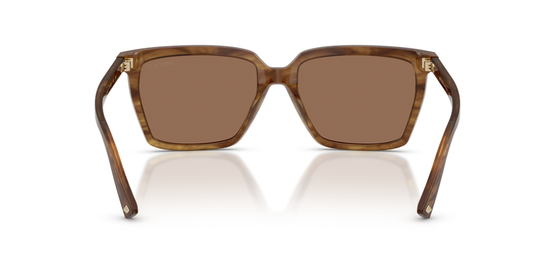 Jimmy Choo JC5051F in Brown Havana / Dark Brown (508573) - Alternate View