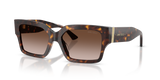 Havana / Brown Gradient (500213)